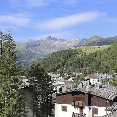 Primula 马代西莫